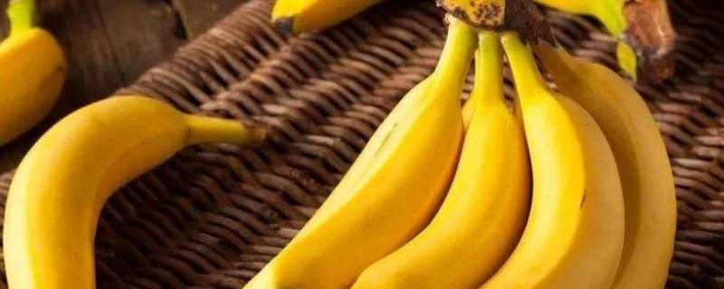 没熟透的香蕉怎么催熟,香蕉不太熟怎么催熟