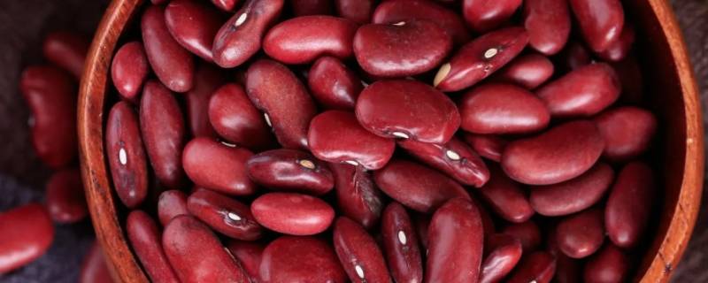 红腰豆和红芸豆是怎样区分的?(红腰豆就是红芸豆吗)