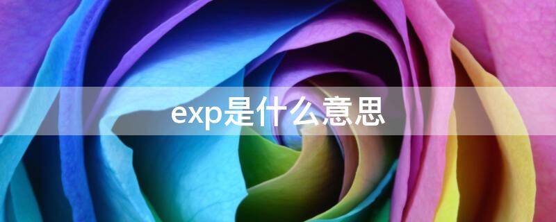 exp是什么意思中文生产日期吗(exp是什么意思函数)