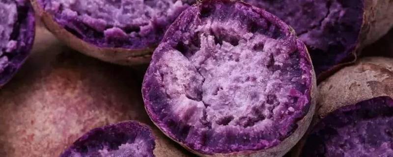 紫薯蒸熟后可以放几天,蒸过的紫薯能放多久