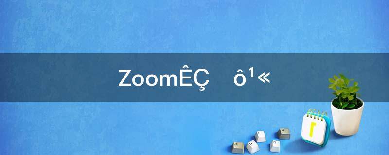ZOOM是什么公司(zoom是什么公司开发的)