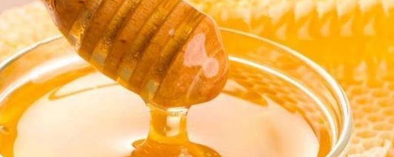 蜂蜜的用途有哪些(蜂蜜的用途和功效)