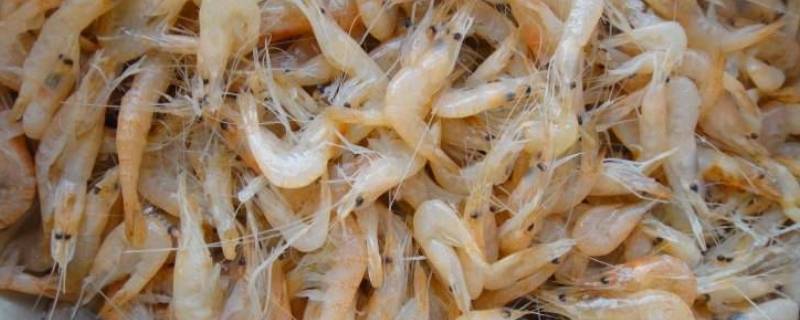 虾米怎么做好吃又简单 怎么做虾好吃又简单又好吃