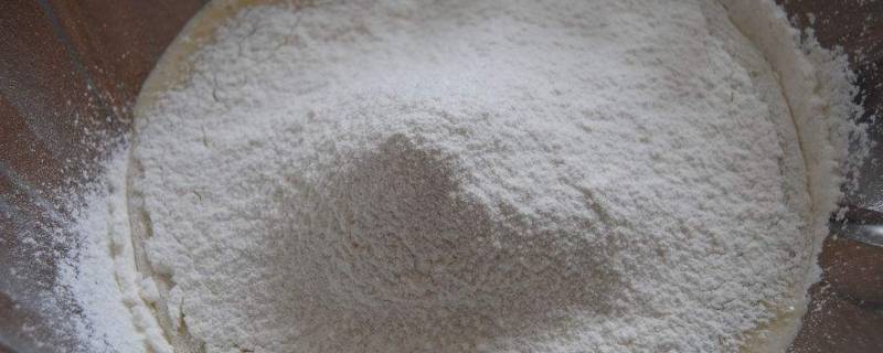 一斤面粉放多少泡打粉和酵母粉(500g面粉用多少泡打粉)