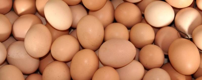 红皮鸡蛋和白皮鸡蛋有什么区别吗(白鸡蛋与红皮鸡蛋的区别)