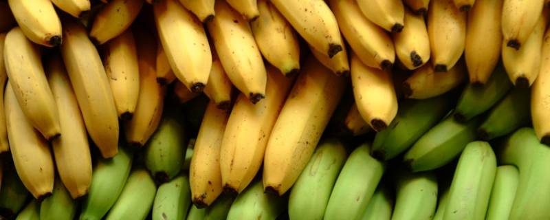 香蕉可以用微波炉加热吗有毒吗(冬天吃香蕉可以用微波炉加热吗)