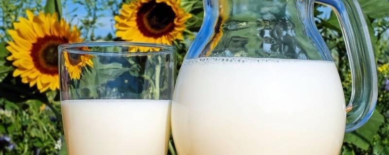 巴氏奶和纯牛奶区别(巴氏奶和纯牛奶区别大吗)