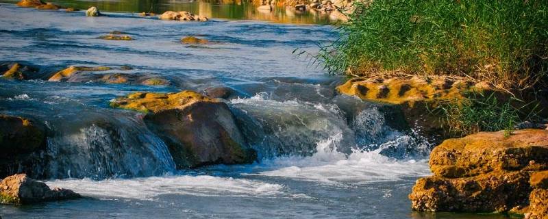 关于保护河水的标语(保护河流环境的标语)
