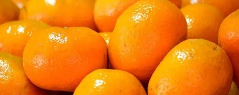 请问橘子可以放冰箱吗(冬天橘子可以放冰箱吗)