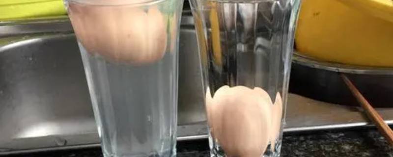 生鸡蛋怎么在水里浮起来的作文(生鸡蛋怎么在水里浮起来的原理)