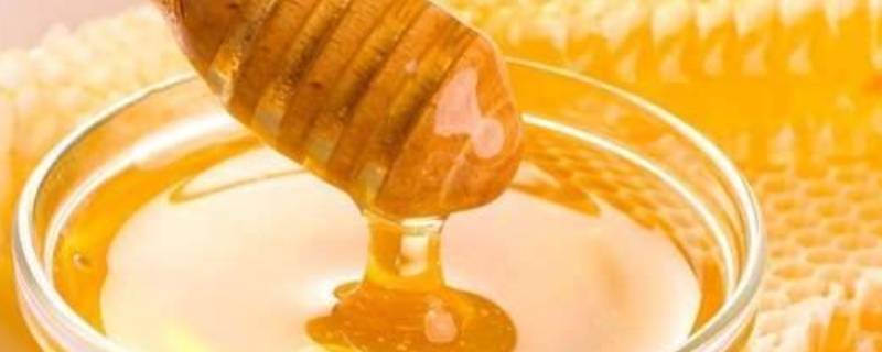 怎么验证蜂蜜纯不纯(辨别蜂蜜的方法)