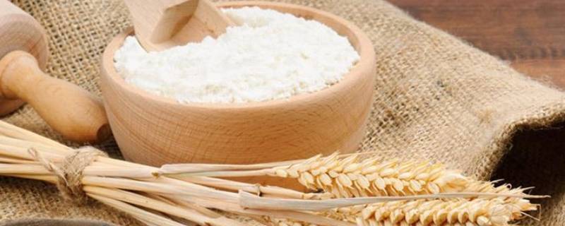 陈克明家用小麦粉是低筋还是高筋,家用小麦粉是低筋还是高筋面粉