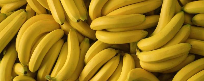 香蕉成分与营养价值(香蕉成分含量表)