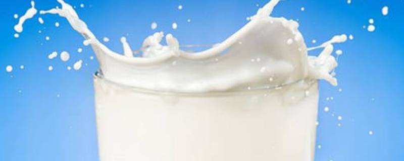 什么是调制乳粉和奶粉有什么区别(什么是调制乳粉)