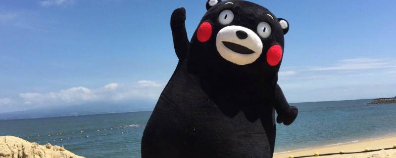 日本熊玩偶叫什么(日本有名的熊玩偶叫什么)