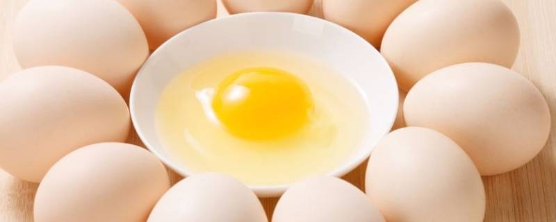 鸡蛋常温下能放多少时间(鸡蛋放恒温能放多久)