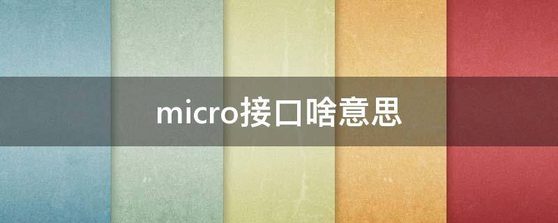 micro接口啥意思(micro接口怎么使用)