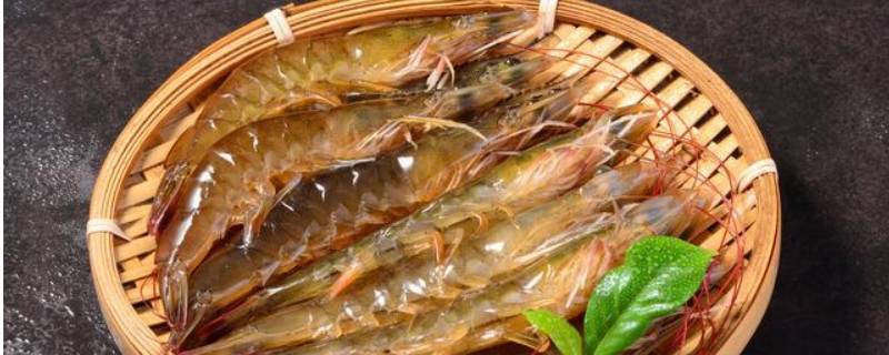 淡水虾的种类(鲜活对虾是海虾还是淡水虾)