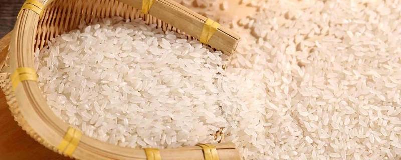 袋装米保质期一般多久(燕麦米保质期一般多久)