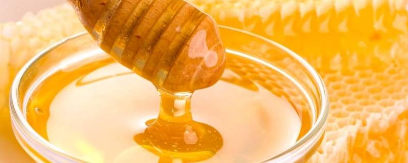 蜂蜜能在冰箱储存多久(蜂蜜放冰箱保鲜能放多久)