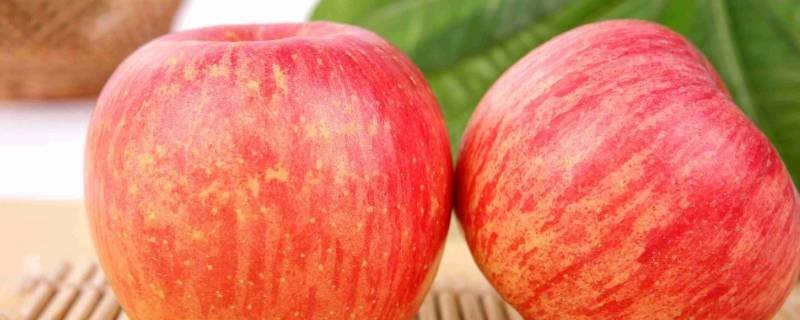 冷库苹果和新鲜苹果的区别(冷冻苹果和冷藏苹果的区别)