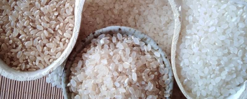 精米是什么米(与大米有区别吗(精米是什么米?)