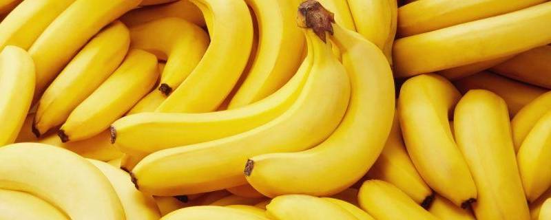 进口香蕉和国产香蕉区别图片(进口香蕉和国产香蕉区别图片香蕉商标写着fm什么意思)
