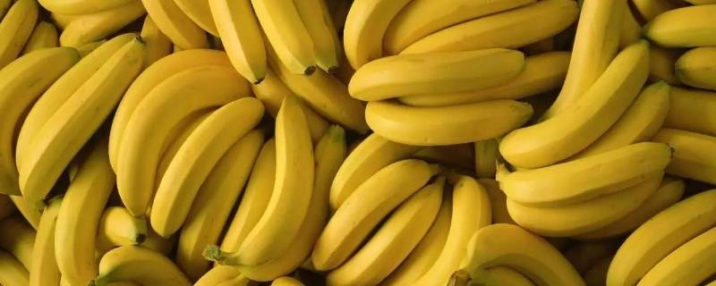 香蕉怎么保存一个月(生香蕉怎么保存可以达到两个月)