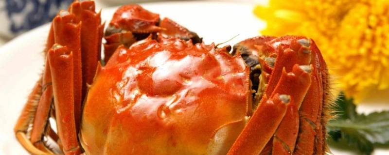 螃蟹蒸多长时间为好,蒸螃蟹需要多长时间最好吃