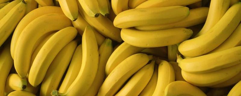 香蕉生吃和蒸熟吃有什么区别(香蕉蒸着吃好还是生吃好)