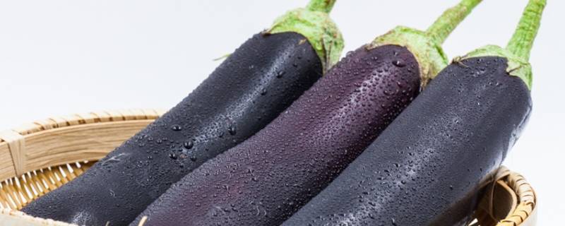紫茄子怎么做好吃简单(紫茄子的做法)
