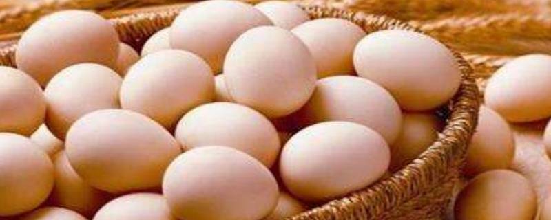 鸡蛋可以洗干净放冰箱吗?(鸡蛋能洗干净放冰箱吗?)