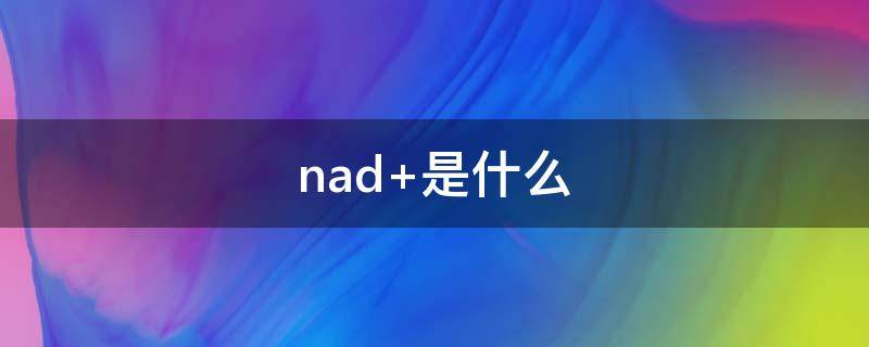 nad是什么意思(nadp+的中文名称是什么)
