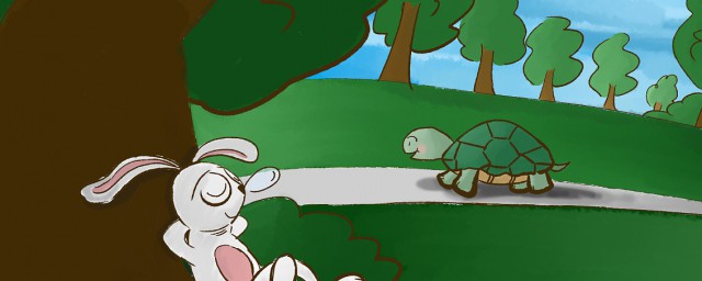 龟兔赛跑的故事(龟兔赛跑绘本故事图片)
