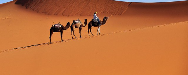 撒哈拉沙漠是多少平方千米(撒哈拉沙漠的面积是多少平方千米)