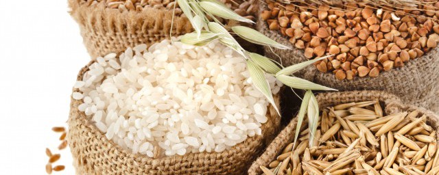 水稻小麦粮食玉米哪一个不是同一类的(玉米小麦稻谷花生高粱哪个不是一类)