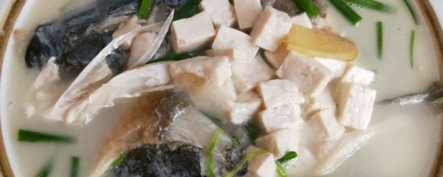 鱼头炖豆腐的做法视频(包头鱼炖豆腐的做法)