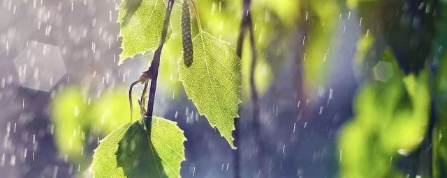 南方的梅雨季节是几月份到几月份(南方的梅雨季节是什么时候)