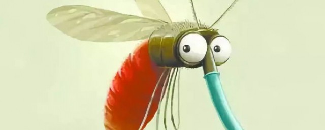 蚊子怕什么味道不敢来,蚊子怕什么味道?