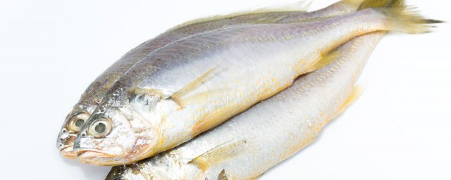 多宝鱼和石斑鱼哪个更有营养 多宝鱼和石斑鱼哪个更贵更好吃