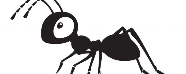 白蚂蚁怎么产生的,第一只蚁后是怎么来的