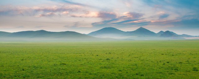 世界上最大的草原是什么草原?(世界上最大的草原是什么世界上最大的沙漠是什么)