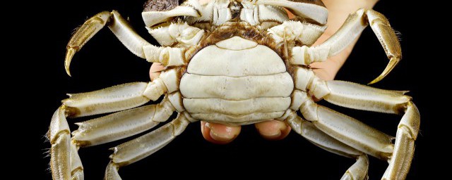 河蟹不可以和什么食物一起吃,蟹不能与哪些食物同吃