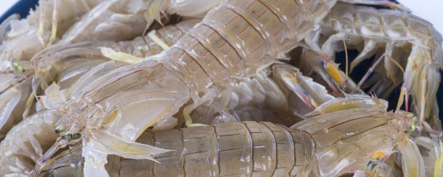 新鲜皮皮虾可以冷冻保存吗(死了的皮皮虾可以冷冻保存吗)