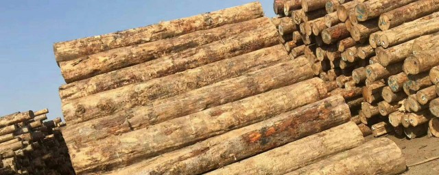 木材密度表(木材密度及硬度排名)
