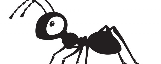 如何消灭白蚂蚁 灭黑蚂蚁最佳办法