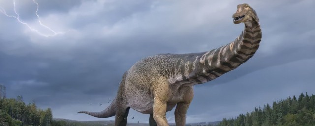 恐龙有多少品种(恐龙有哪些?)
