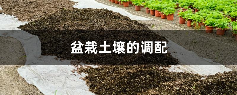 盆栽营养土制作方法(盆栽土壤的调配)