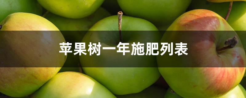 苹果树全年施肥时间(一至三年的苹果树的施肥)