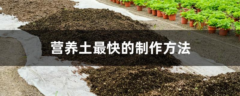 营养土制作方法(怎样制作营养土)